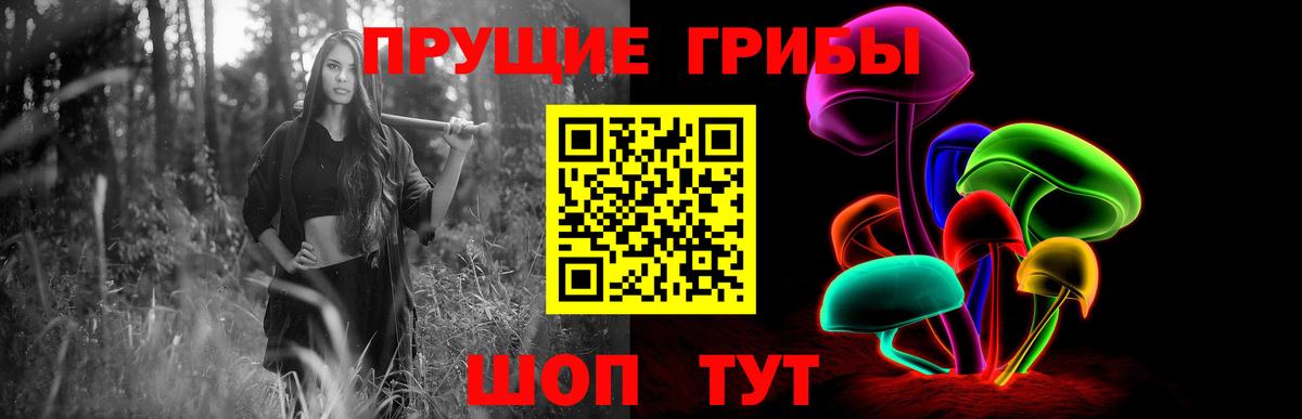 Галлюциногенные грибы GOLDEN TEACHER  Вход с VPN  Нижнеудинск 